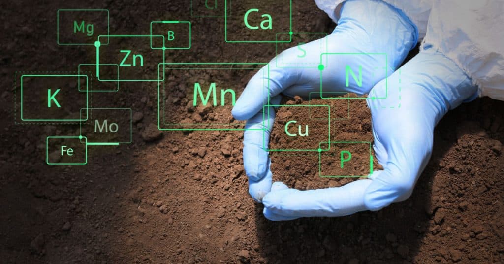 Soil Remediation & Testing in Durham